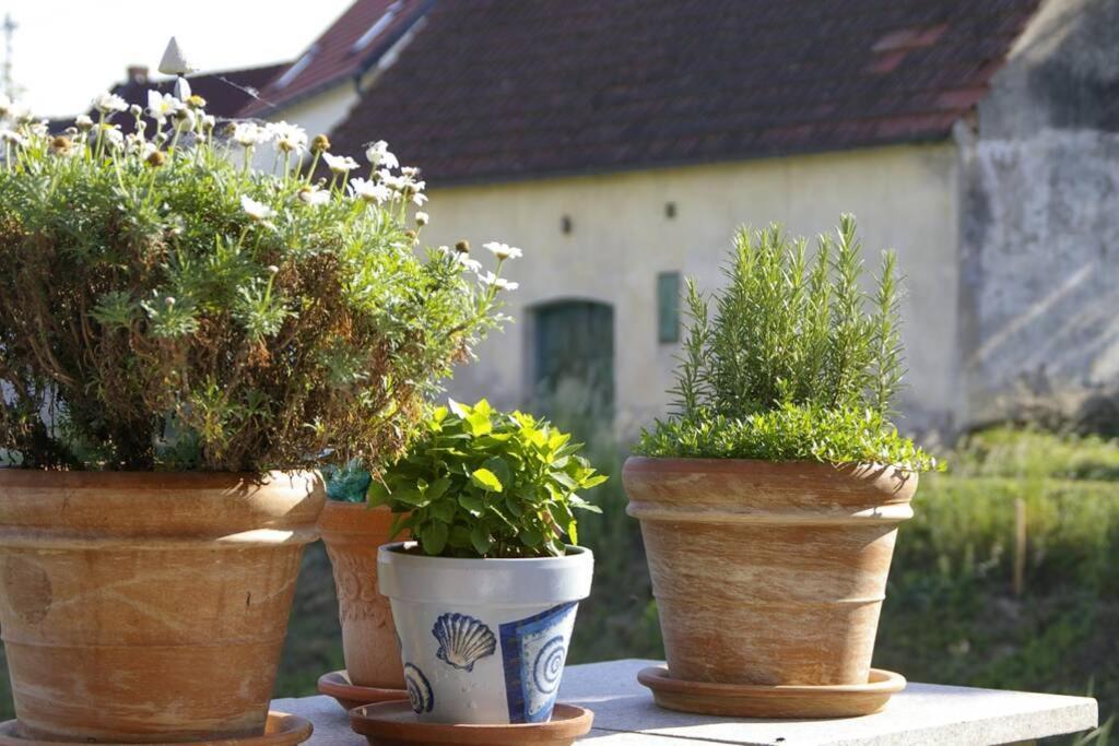 Ferienwohnung Sachsenberg Keine Monteure Hadersdorf am Kamp Exterior photo